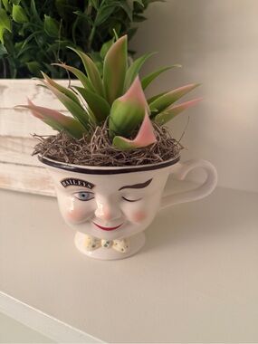 Bailey's Winking Cup YUM Anthropomorphic Smiling Man Face Porcelain Ltd. Ed.